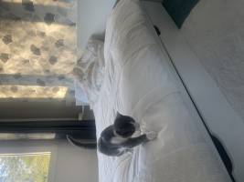 Olivia MARTIN - OLIVIA MARTIN DECO